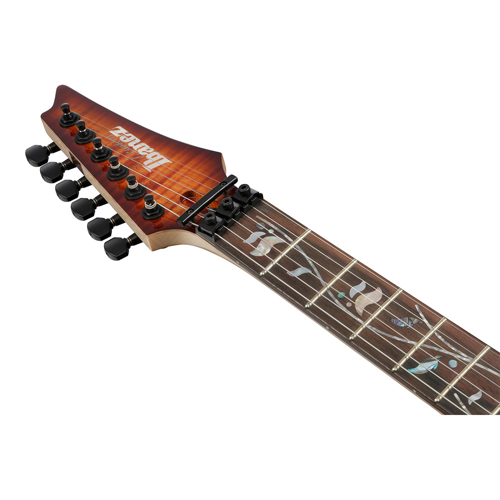 Ibanez RG j.custom Axe Design Lab RG8870-BSR (Brownish