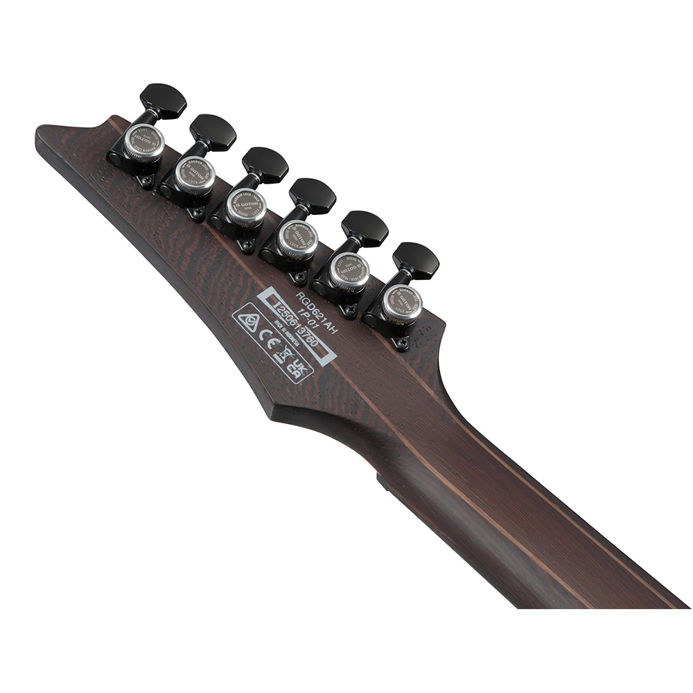 Ibanez RGD Standard RGD621AH-MNF (Midnight Shade Flat