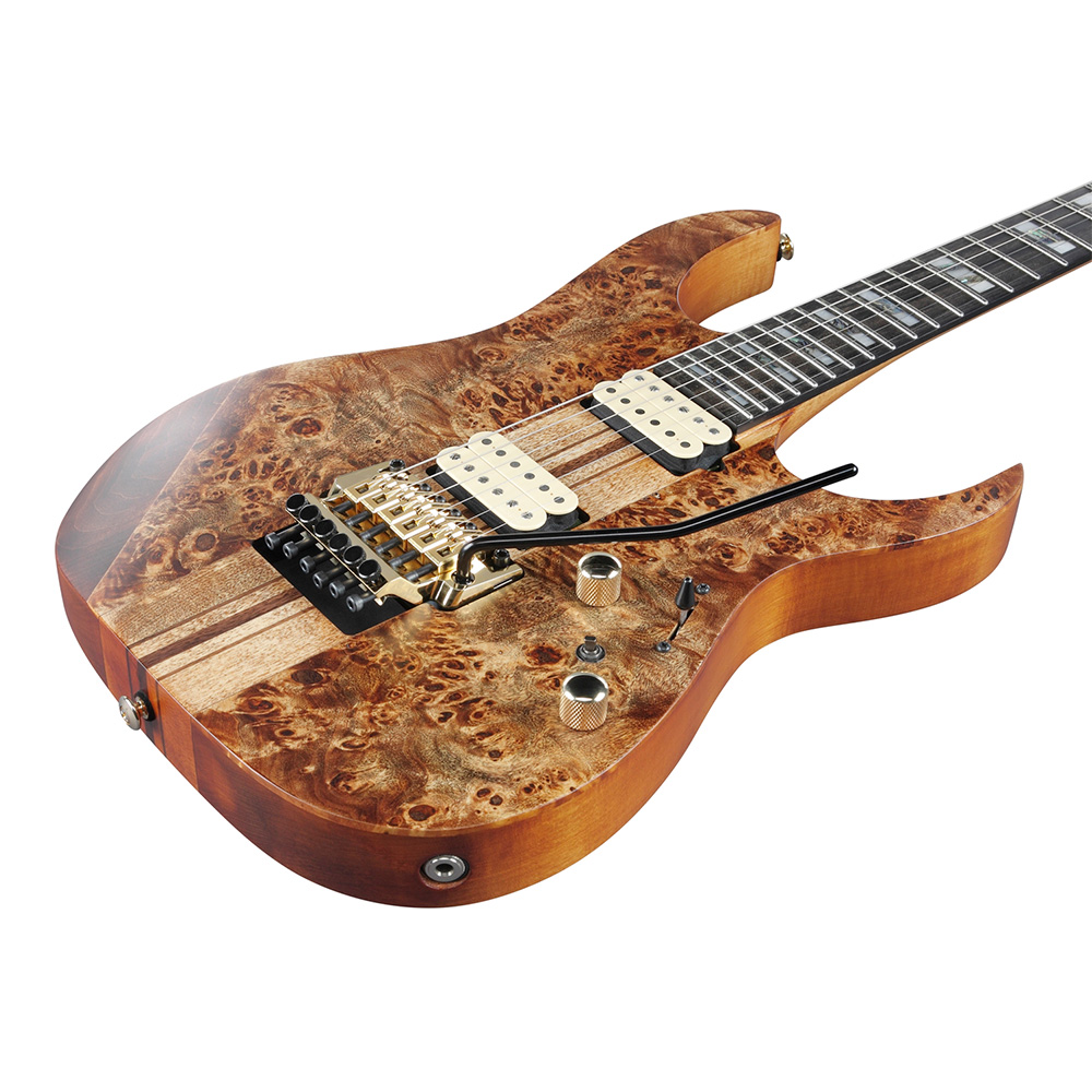 Ibanez RG Premium RGT1220PB-ABS (Antique Brown Stained Flat