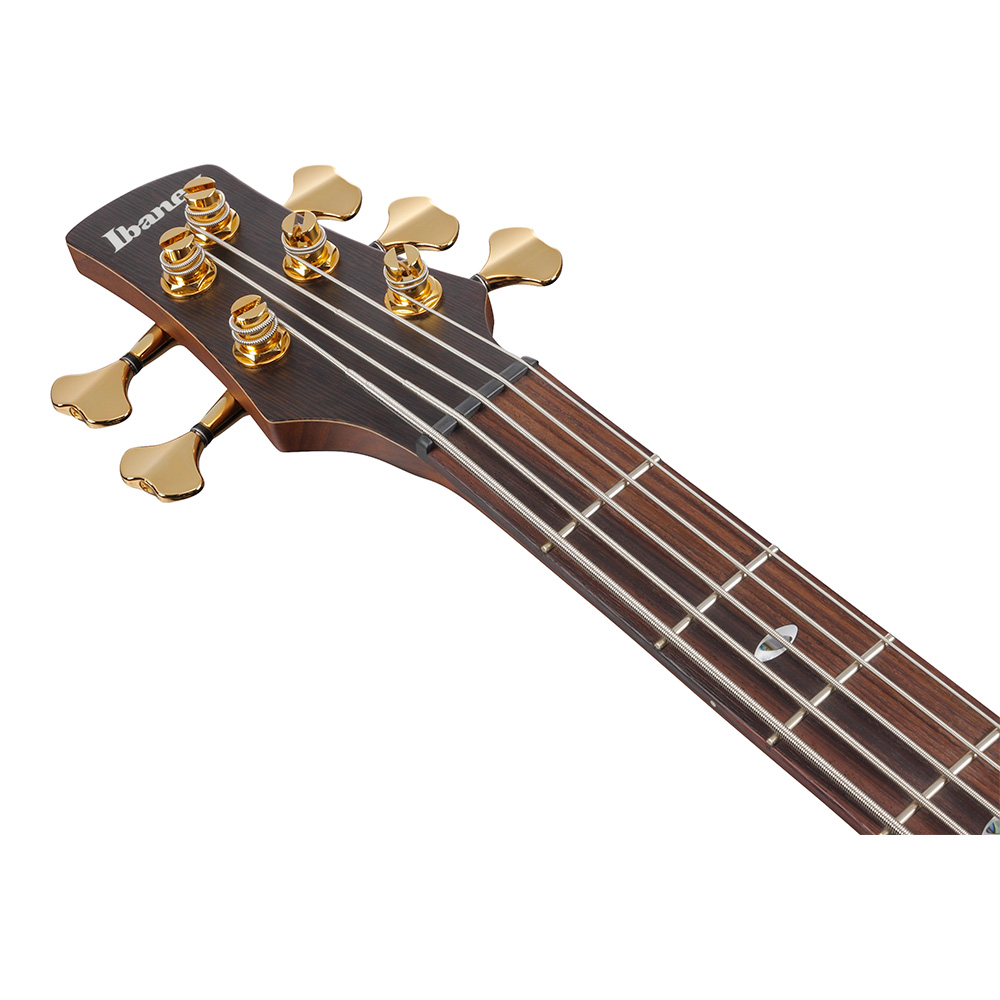 Ibanez SRG 450 こすろ QMZD【メンテナンス必須】