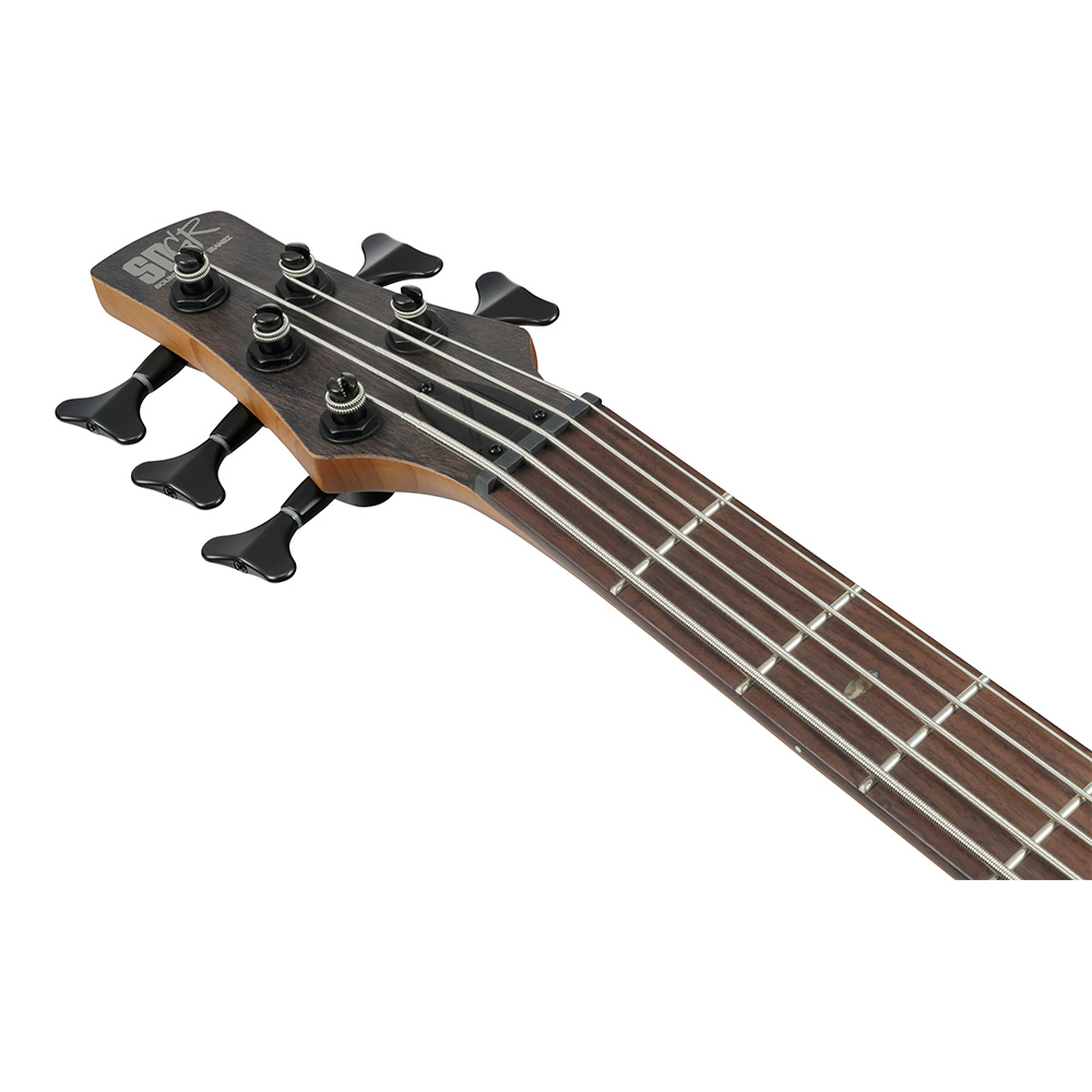 Ibanez SR Standard SR505A-TGF (Transparent Gray Flat