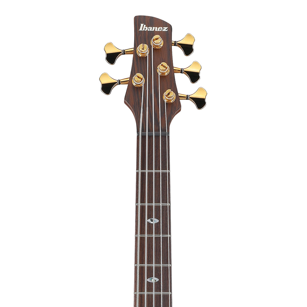 Ibanez SR Prestige SR5505-MHF (Mocha Flat)｜ミュージック