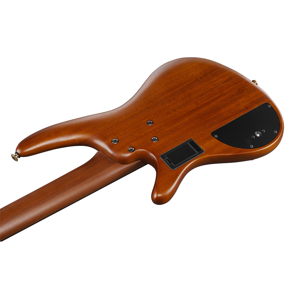 Ibanez SR Prestige SR5505-MHF (Mocha Flat)｜ミュージックランドKEY