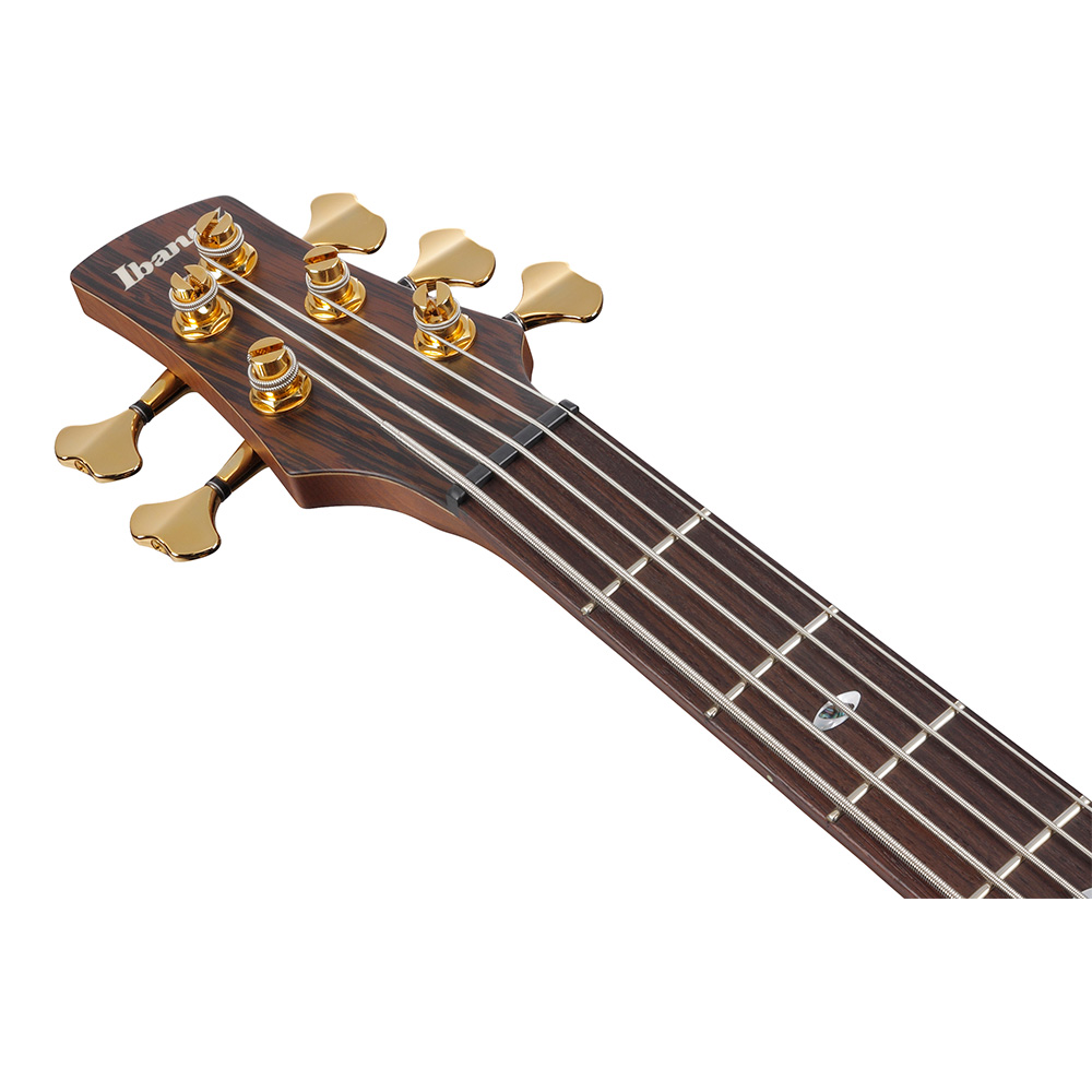 Ibanez SR Prestige SR5505-MHF (Mocha Flat)｜ミュージック