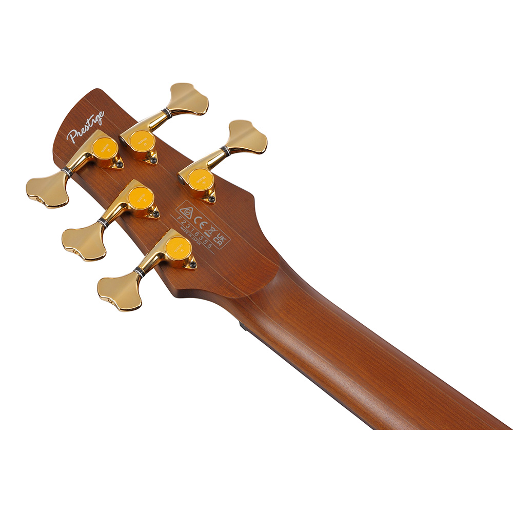 Ibanez SR Prestige SR5505-MHF (Mocha Flat)｜ミュージックランドKEY