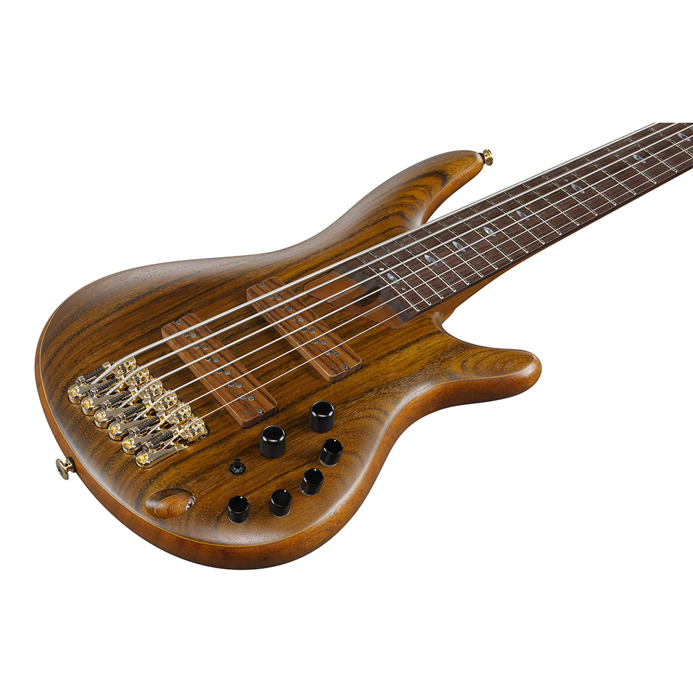 Epi エレキベース ブラウン Bass Workshop Series SRF700-BBF (Brown Burst Flat