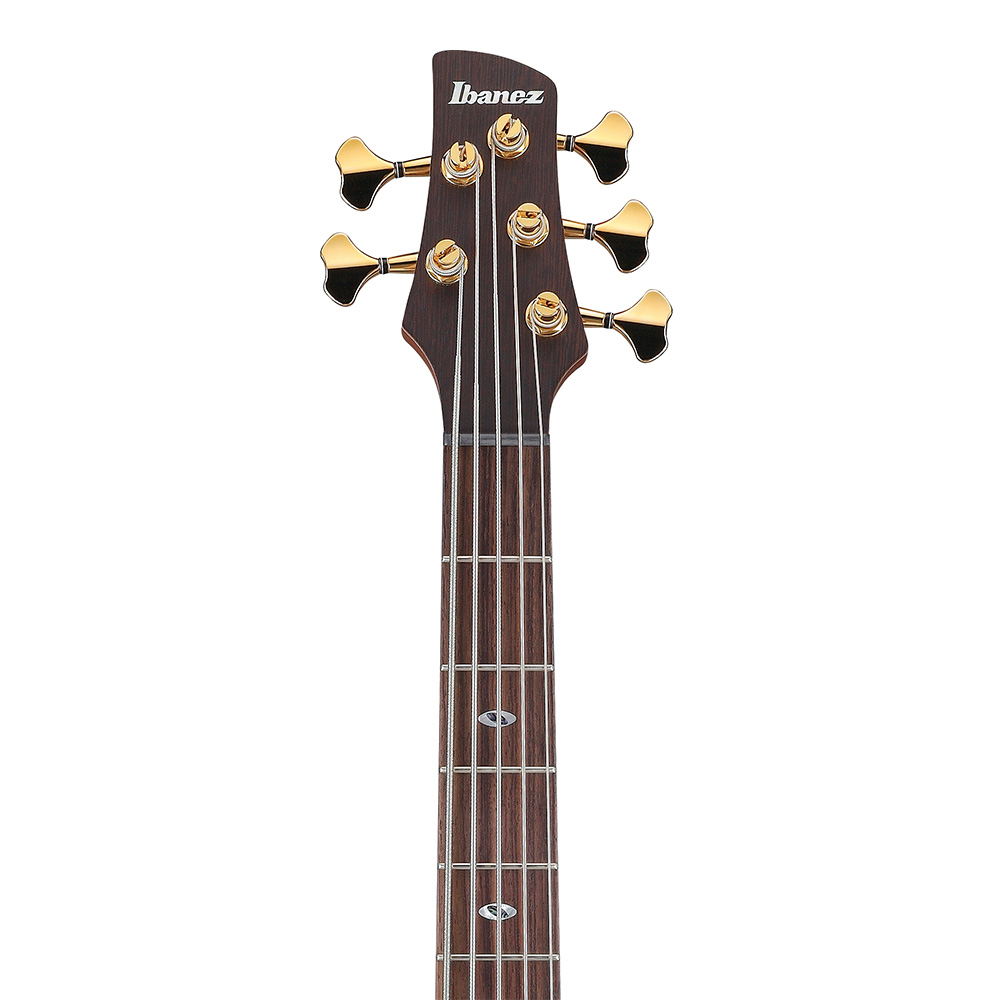 Ibanez SR Prestige SR6605-GFB (Ghost Fleet Blue Burst