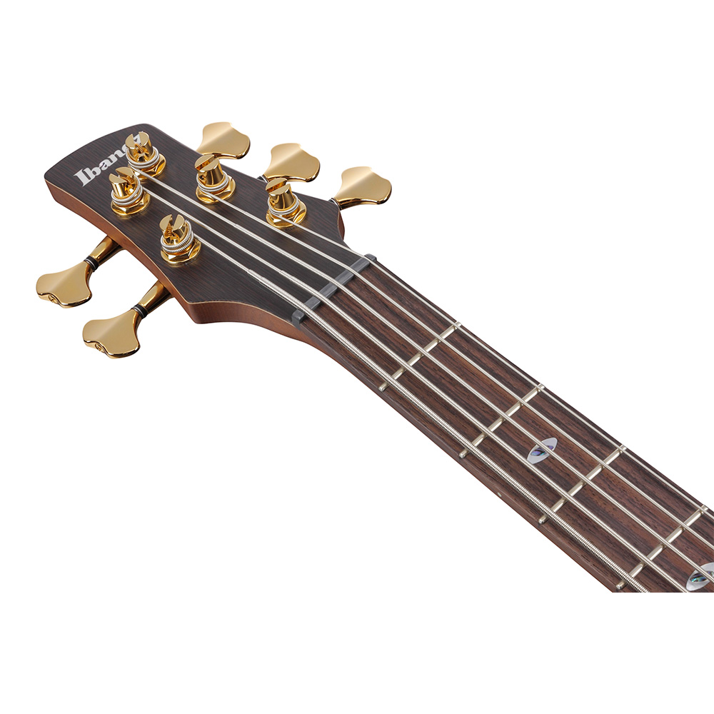 Ibanez SR Prestige SR6605-GFB (Ghost Fleet Blue Burst