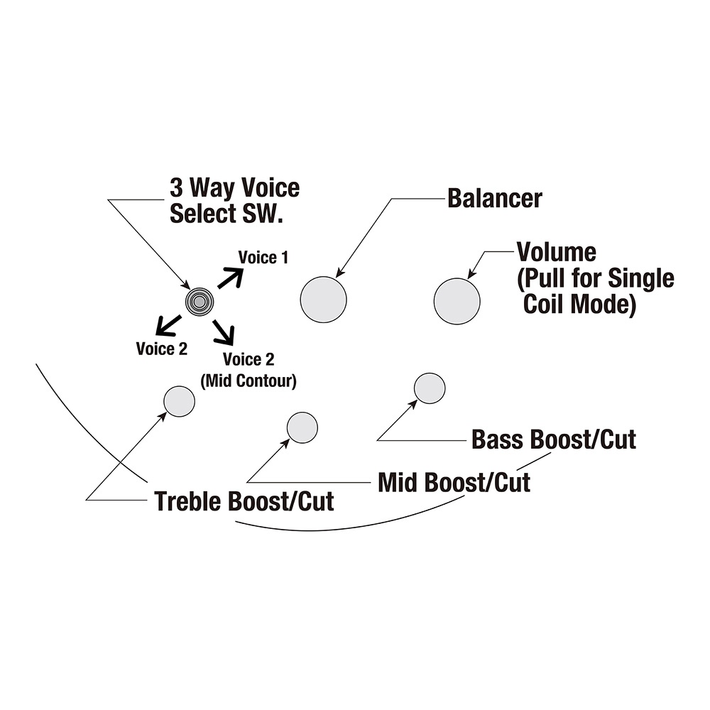 Ibanez SR Workshop SRMS720-BCM (Blue Chameleon)｜ミュージックランドKEY