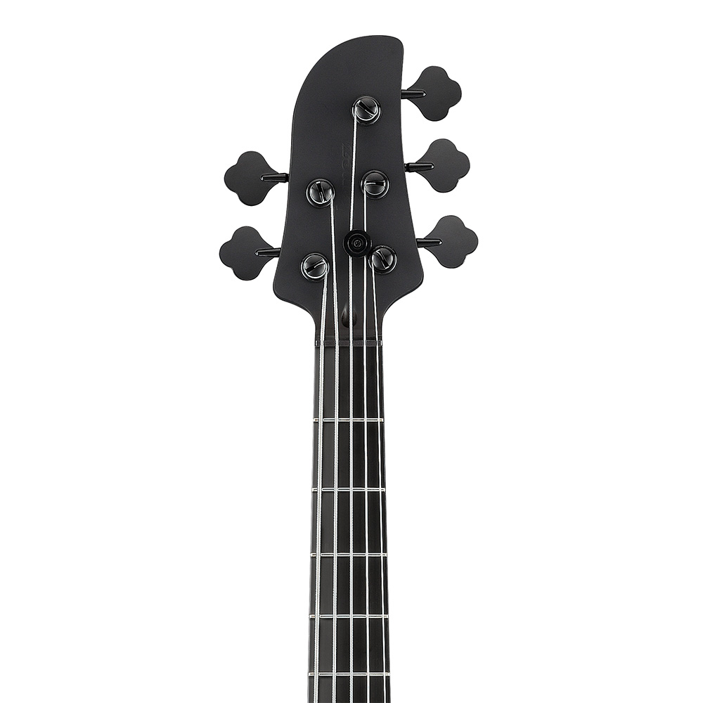 Ibanez Talman Bass Standard TMB425B-BKF (Black Flat)｜ミュージック