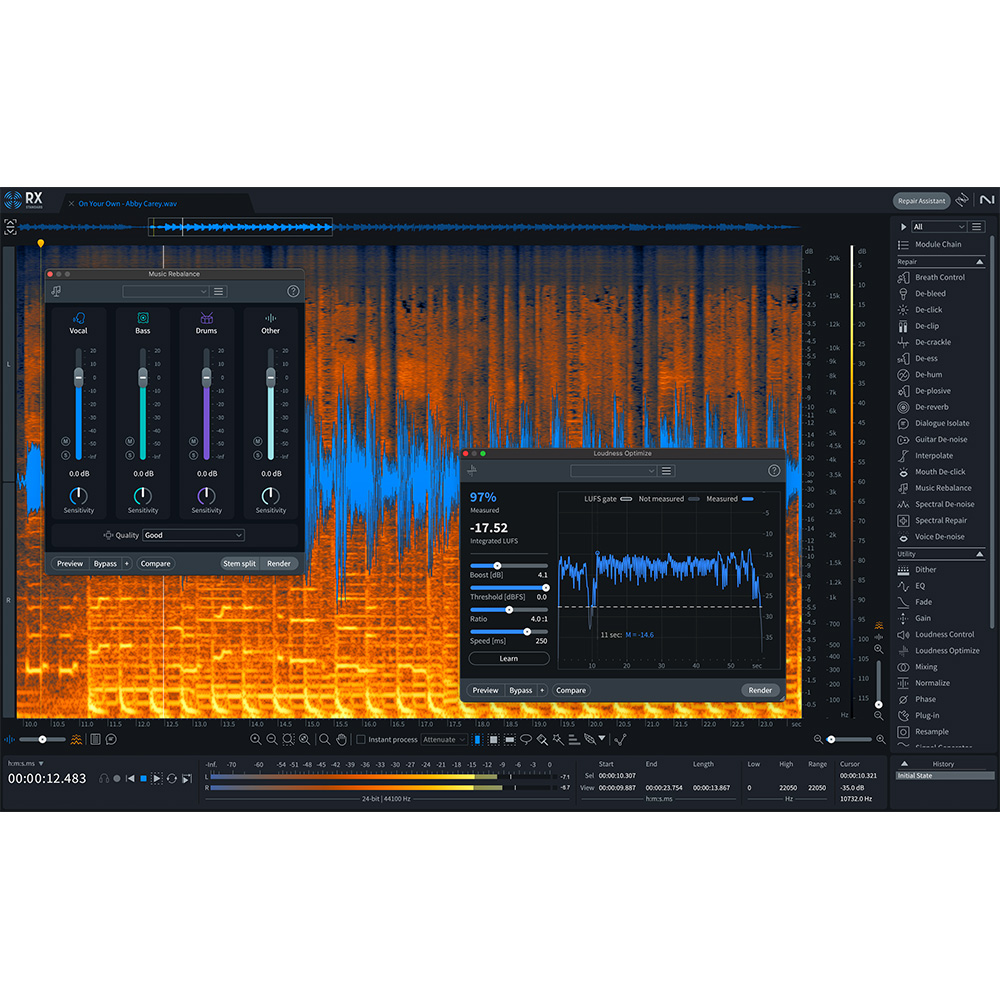 iZotope RX 11 Standard: Upgrade from any previous version of