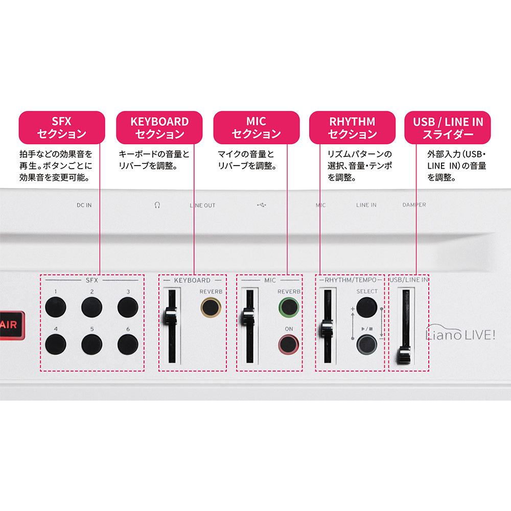 KORG Liano LIVE! [L1 LIVE]｜ミュージックランドKEY