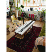 �J���[�o���G�[�V����