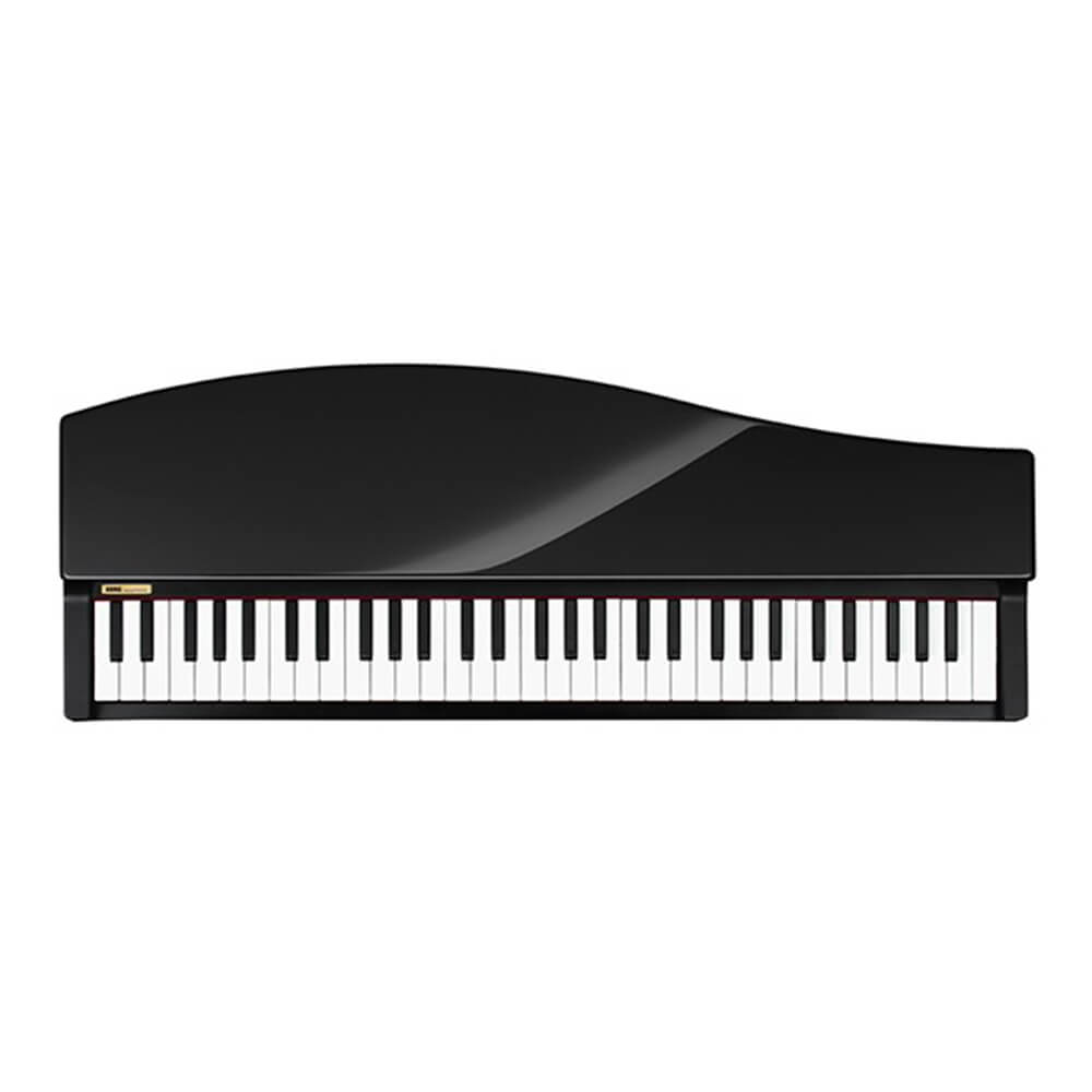 正規品特価KORG マイクロピアノ ブラック 鍵盤楽器