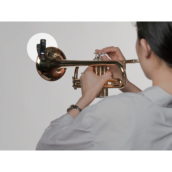 �J���[�o���G�[�V����