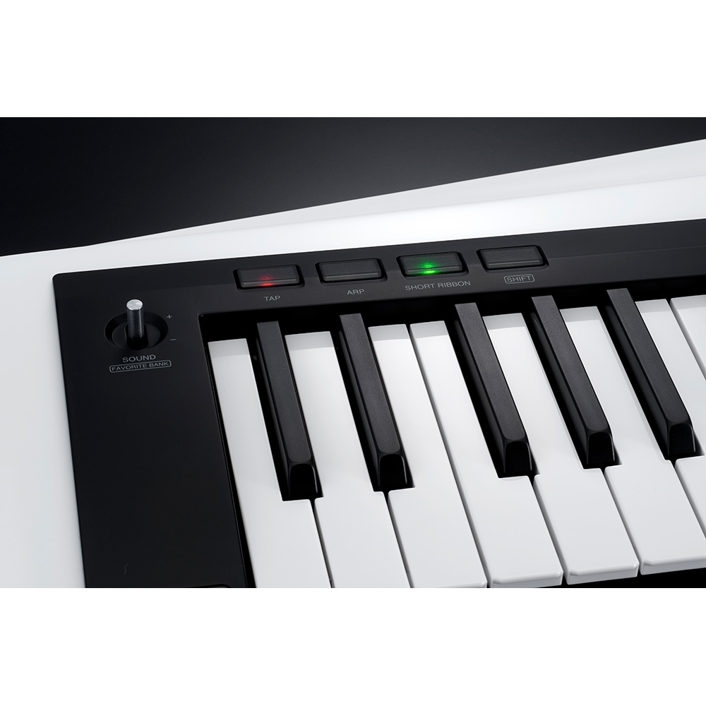 KORG RK-100S 2 WH (Gloss White)｜ミュージックランドKEY