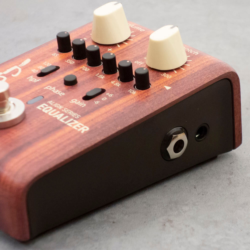 L.R Bagg ALIGN SERIES EQUALIZER 最終価格 Amazon.com: L.R. Baggs Align Equalizer Acoustic Guitar