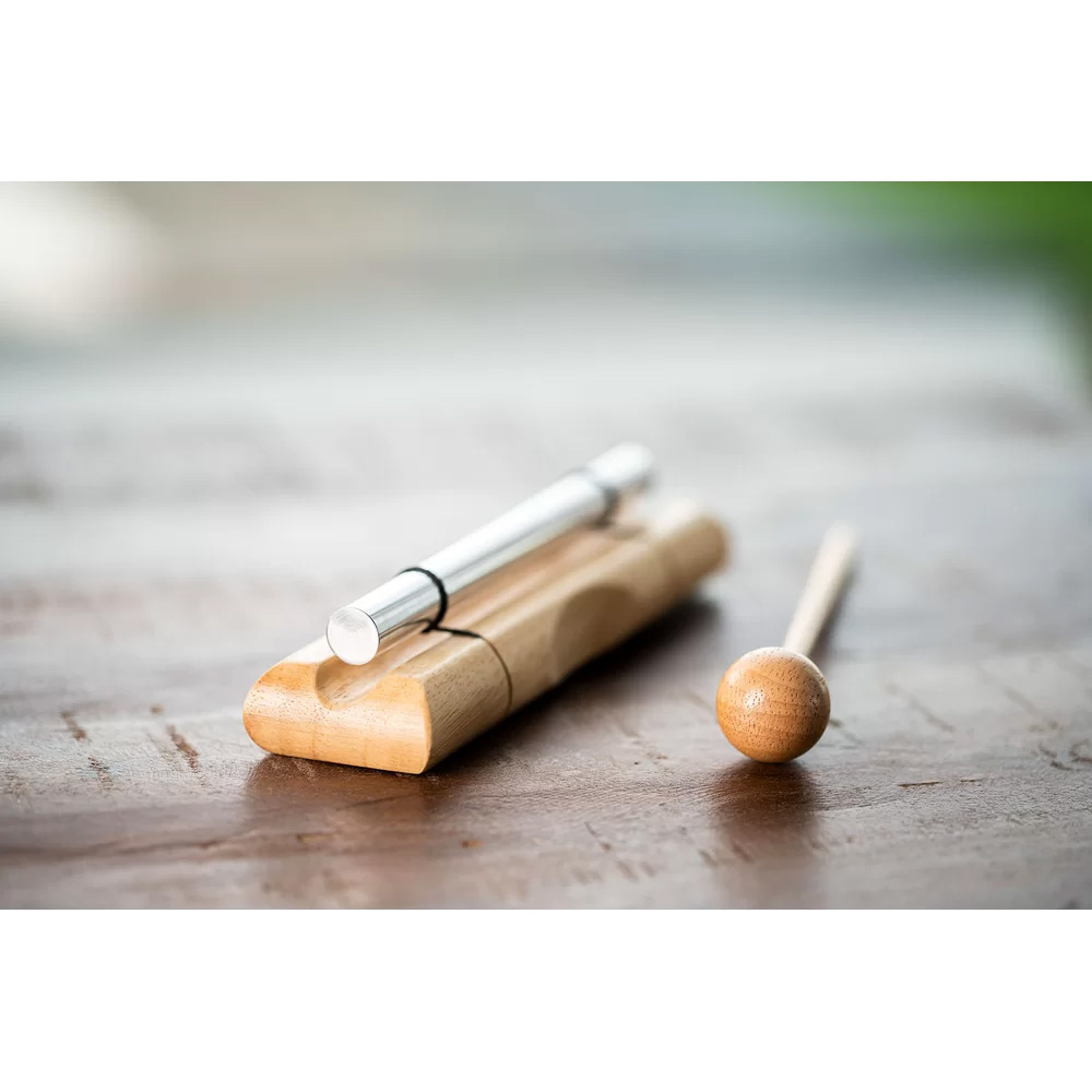 MEINL Sonic Energy Saturn Energy Chime [EC-SA]｜ミュージックランドKEY