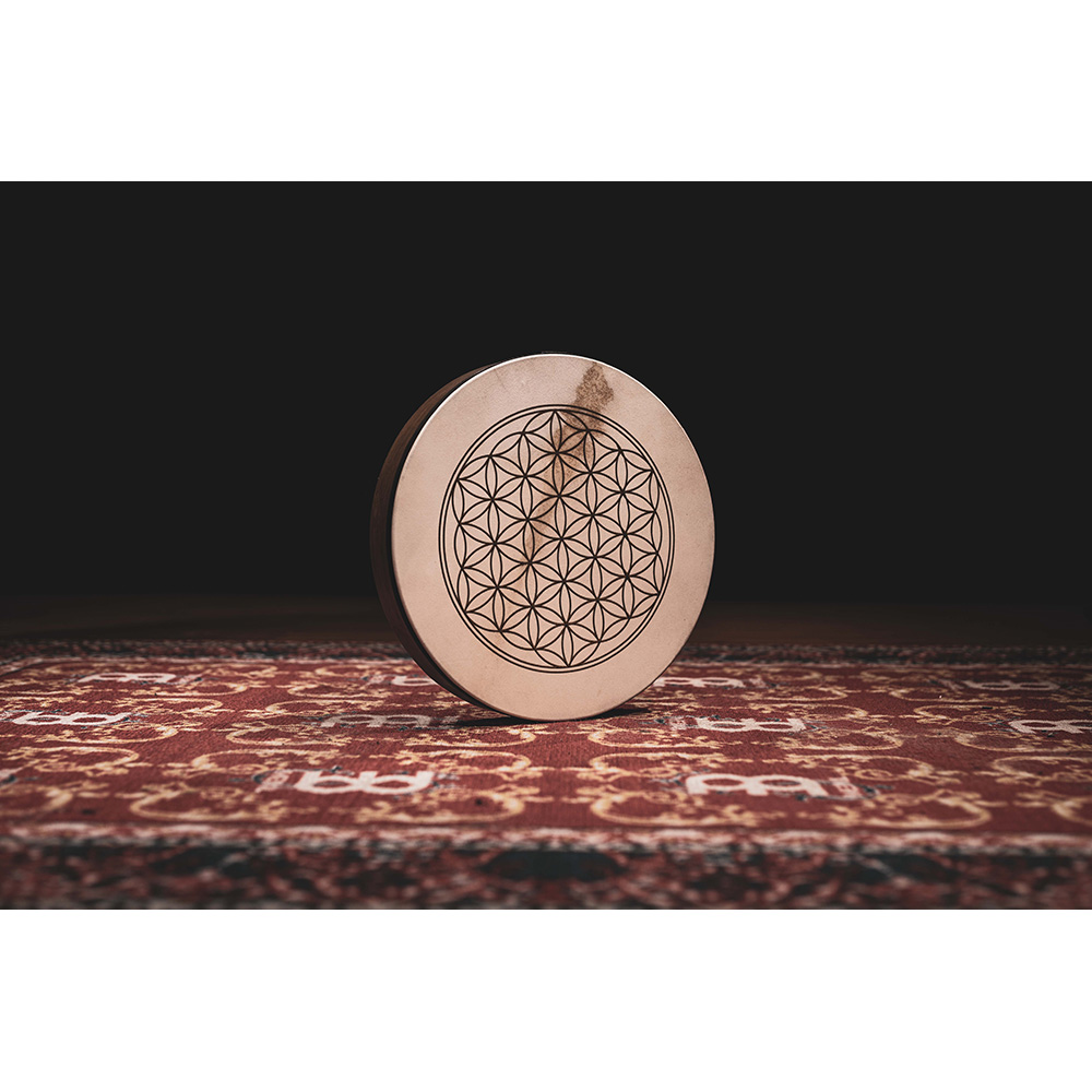 MEINL Sonic Energy 16