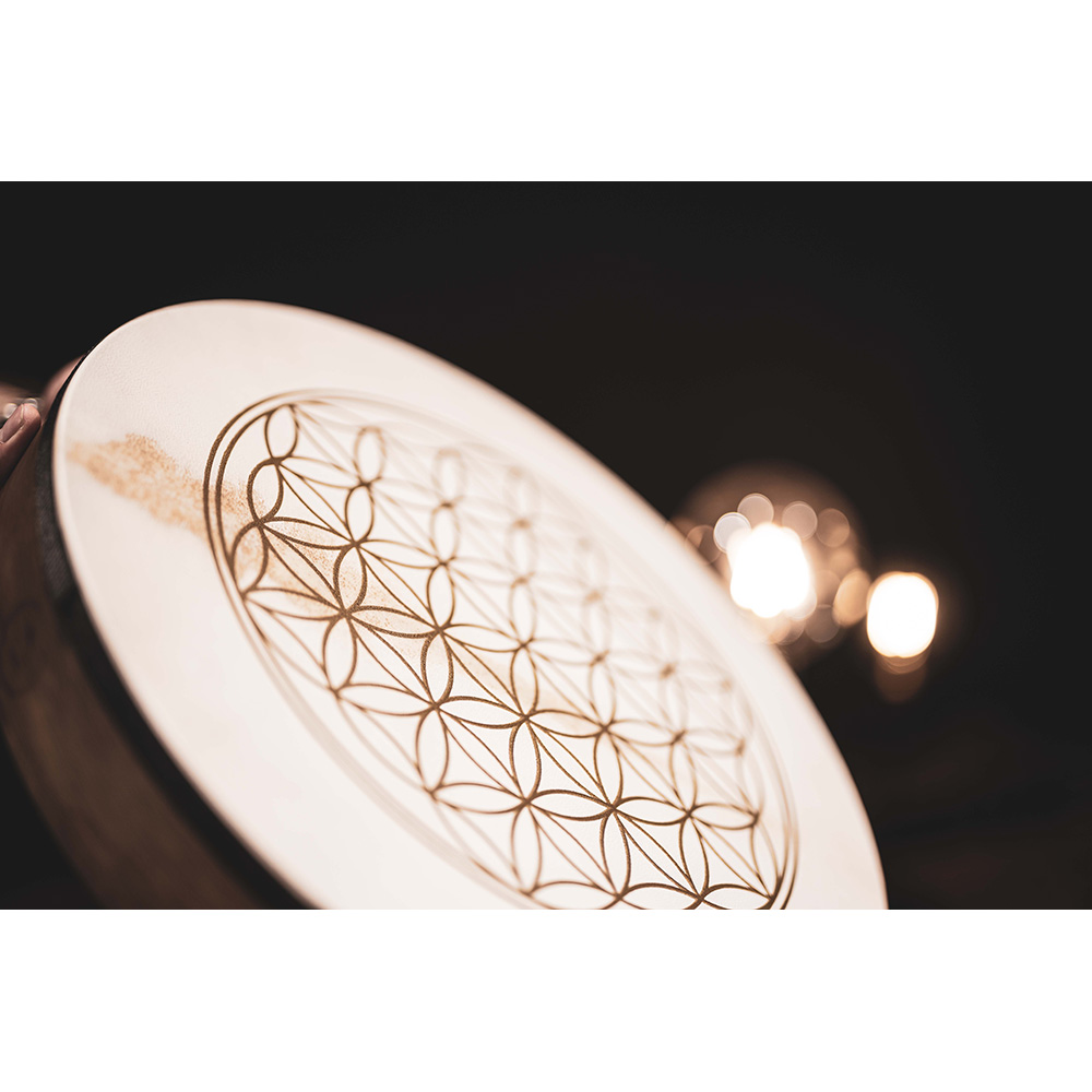 MEINL マイネル Sonic Energy ハンドドラムHD16WB-FOL MEINL Sonic Energy 16