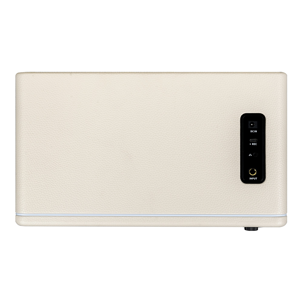 MOOER Hornet 30i White｜ミュージックランドKEY