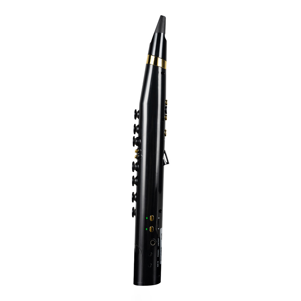 MOOER Wind Instrument 100 Wi100 Black｜ミュージックランドKEY