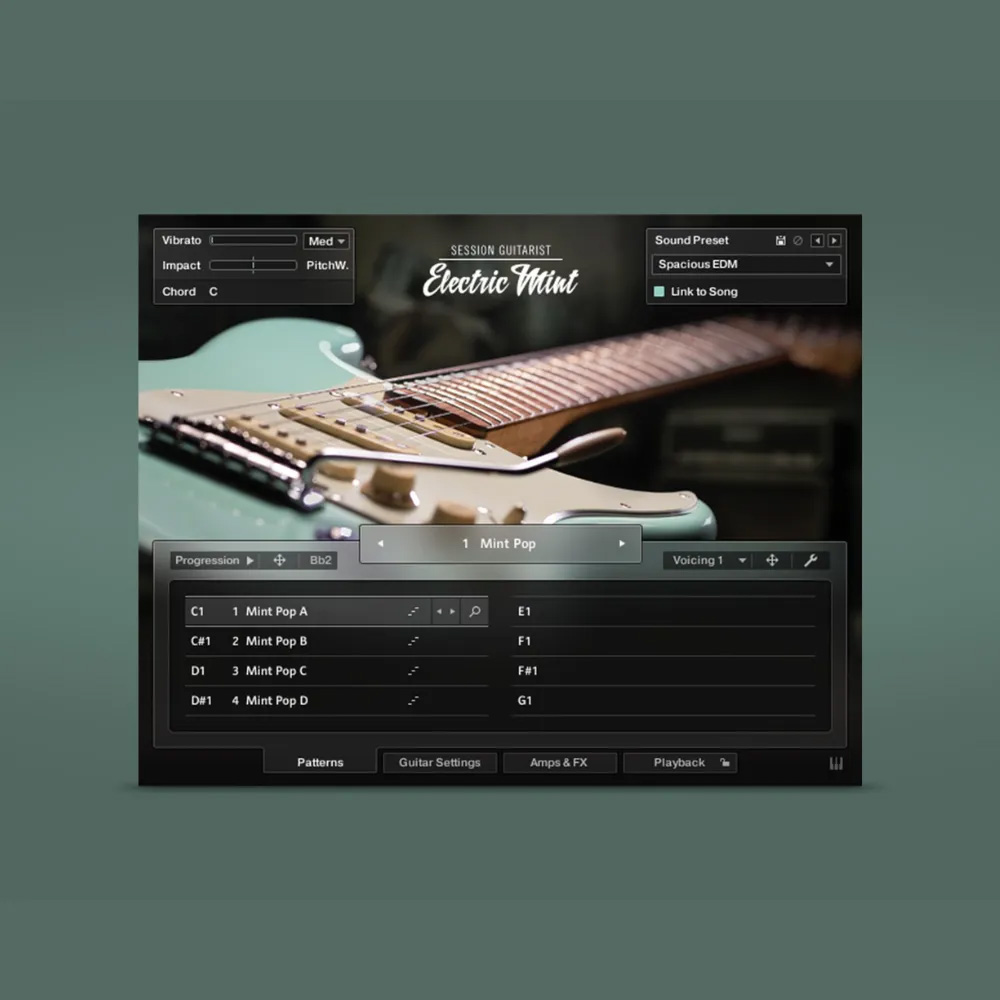 Native Instruments Session Guitarist - Electric Mint｜ミュージック
