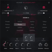 �J���[�o���G�[�V����