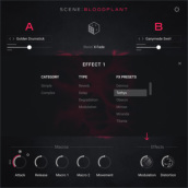 �J���[�o���G�[�V����