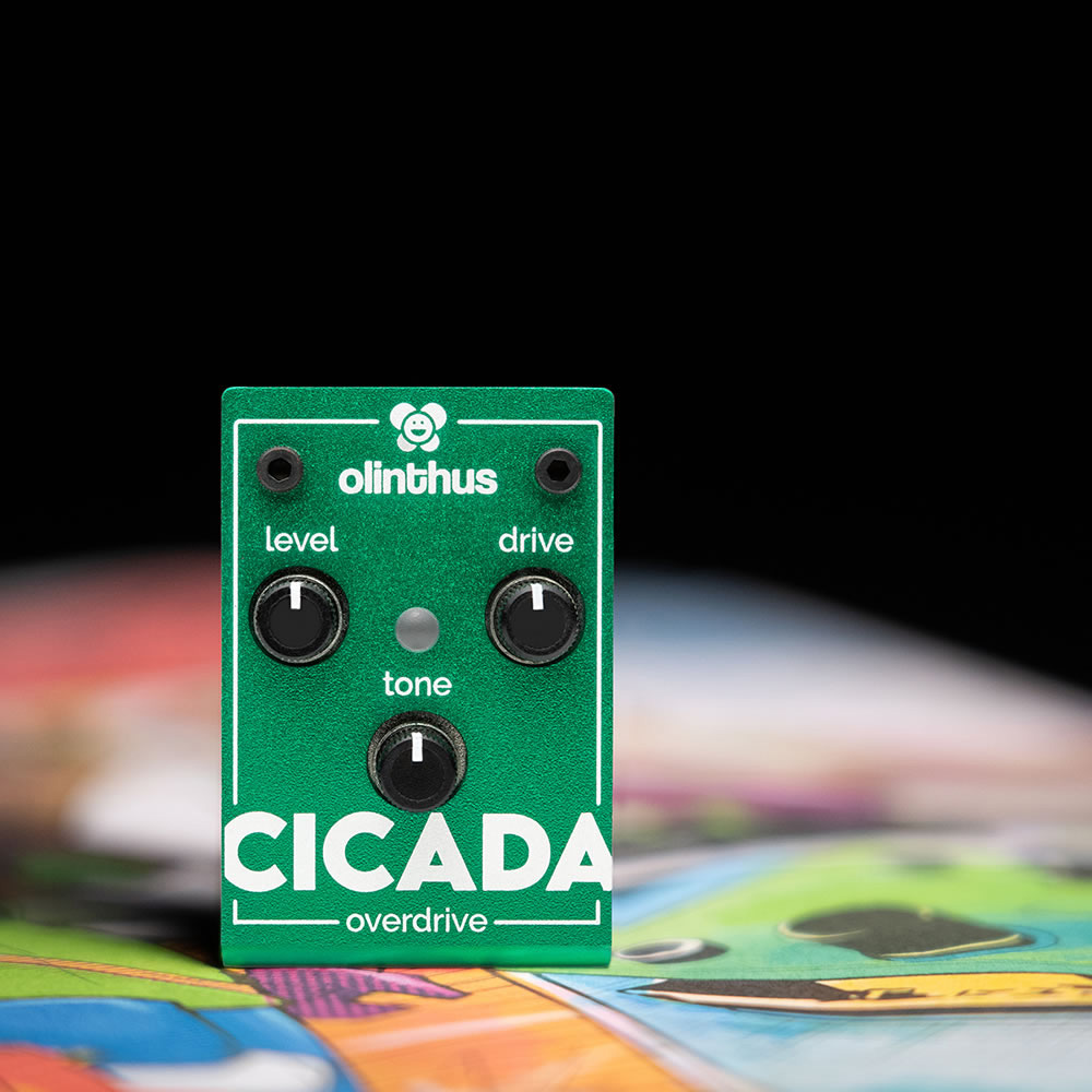 Olinthus CICADA｜ミュージックランドKEY