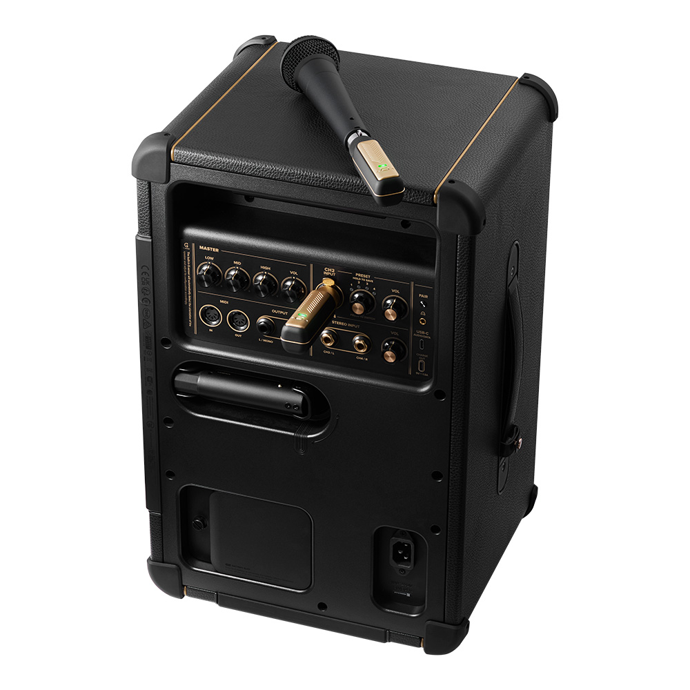 Positive Grid Spark LINK XLR｜ミュージックランドKEY