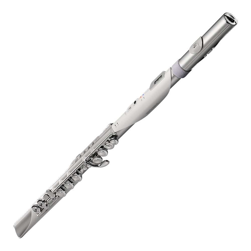 Roland Aerophone Brisa Digital Wind Instrument [AE-BRISA