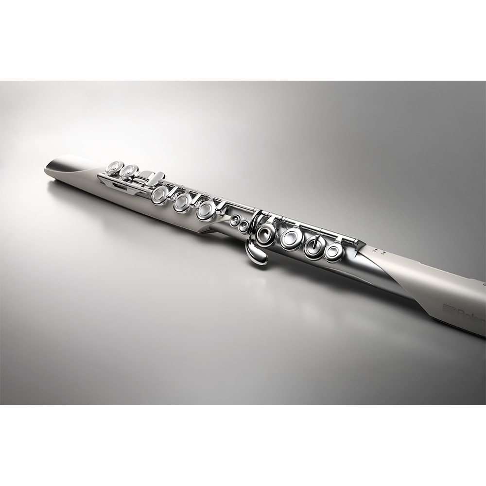 Roland Aerophone Brisa Digital Wind Instrument [AE-BRISA