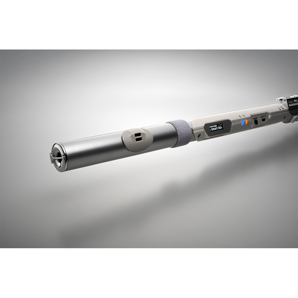 Roland Aerophone Brisa Digital Wind Instrument [AE-BRISA