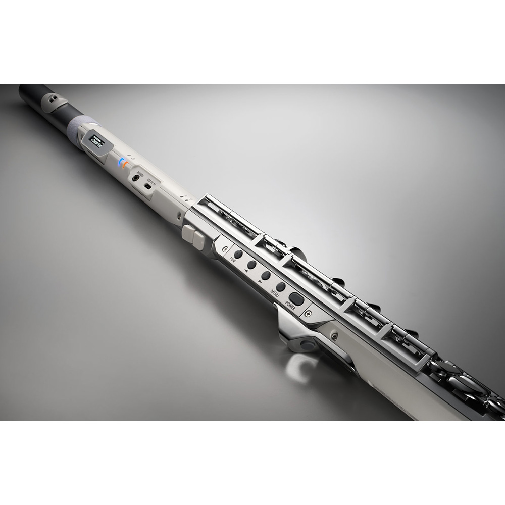 Roland Aerophone Brisa Digital Wind Instrument [AE-BRISA