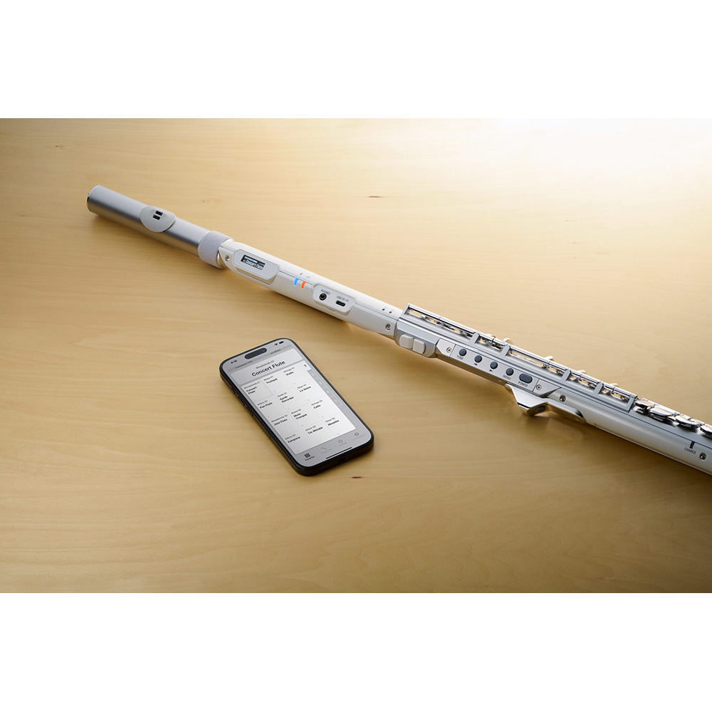 Roland Aerophone Brisa Digital Wind Instrument [AE-BRISA