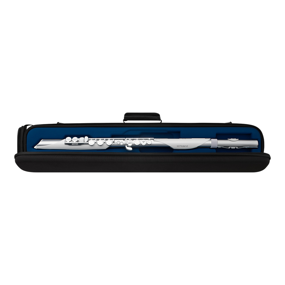Roland Aerophone Brisa Digital Wind Instrument [AE-BRISA