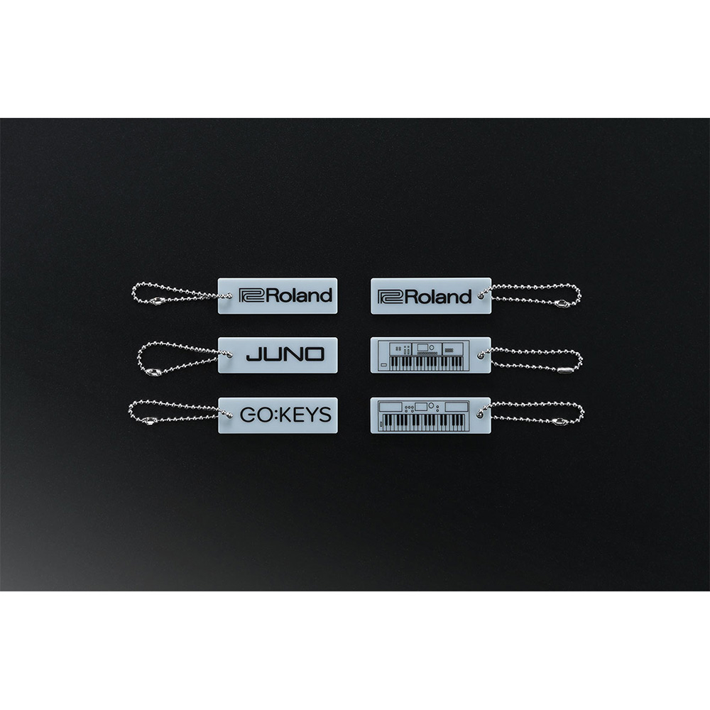 Roland CB-V61 61-Key Versatile Keyboard Bag｜ミュージックランドKEY