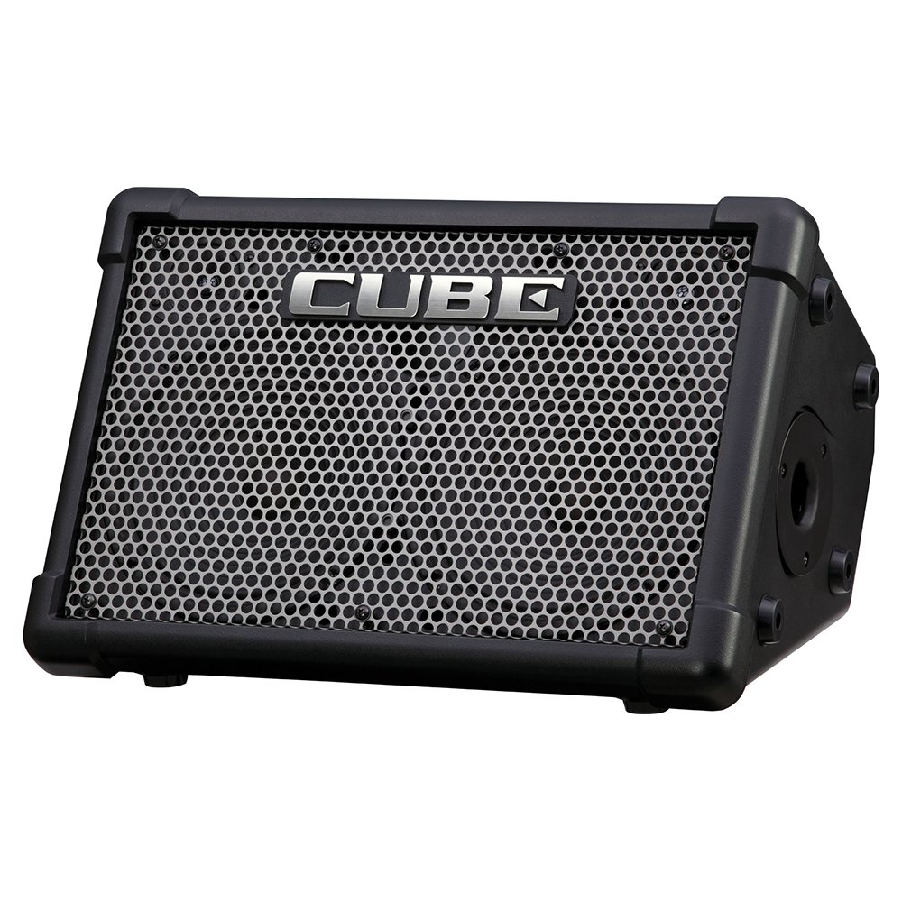 Roland CUBE Street EX Battery-Powered Stereo Amplifier [CUBE-STEX