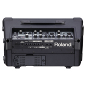 Roland CUBE Street EX Battery-Powered Stereo Amplifier [CUBE-STEX 