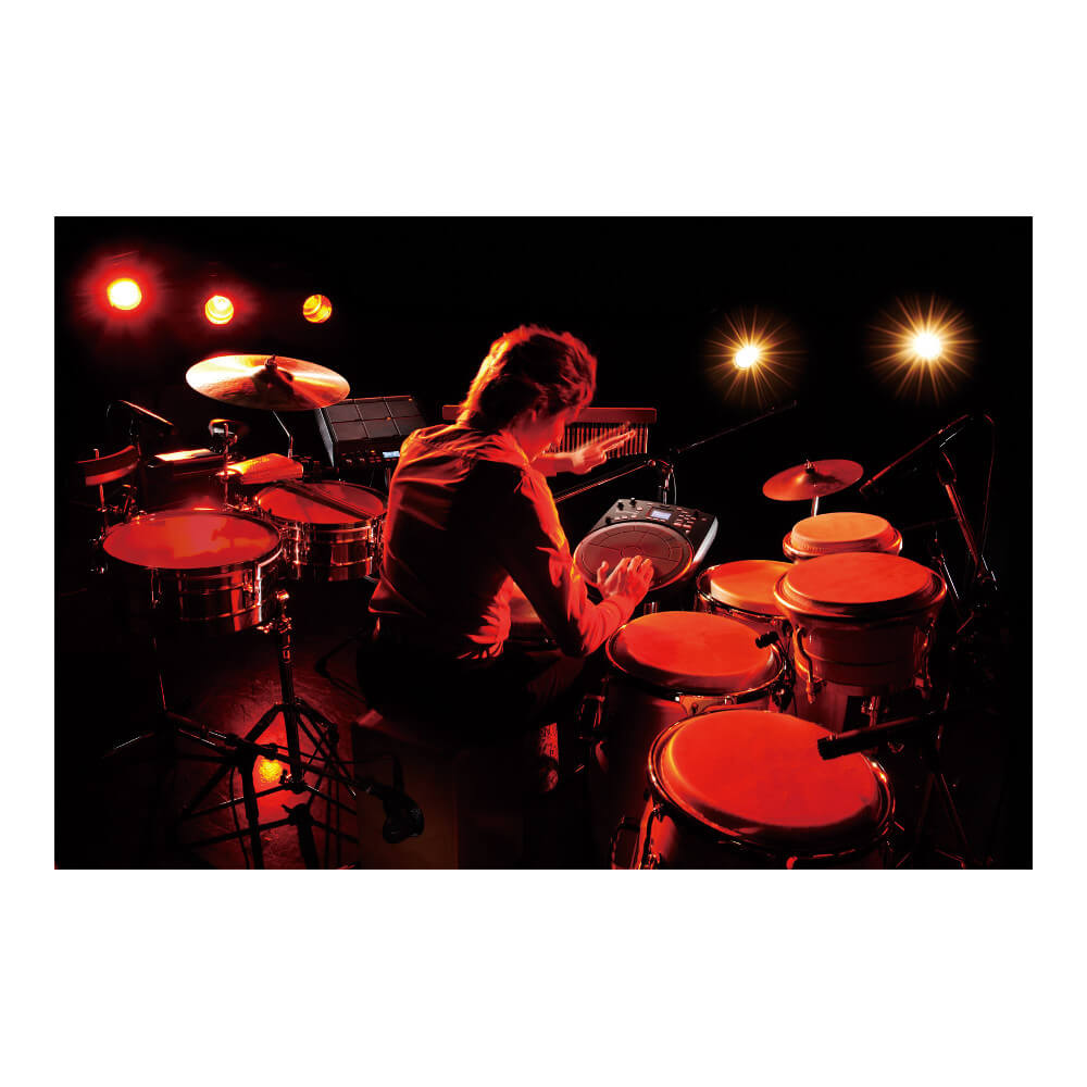 Roland HandSonic HPD-20 Hand Percussion Pad｜ミュージックランドKEY