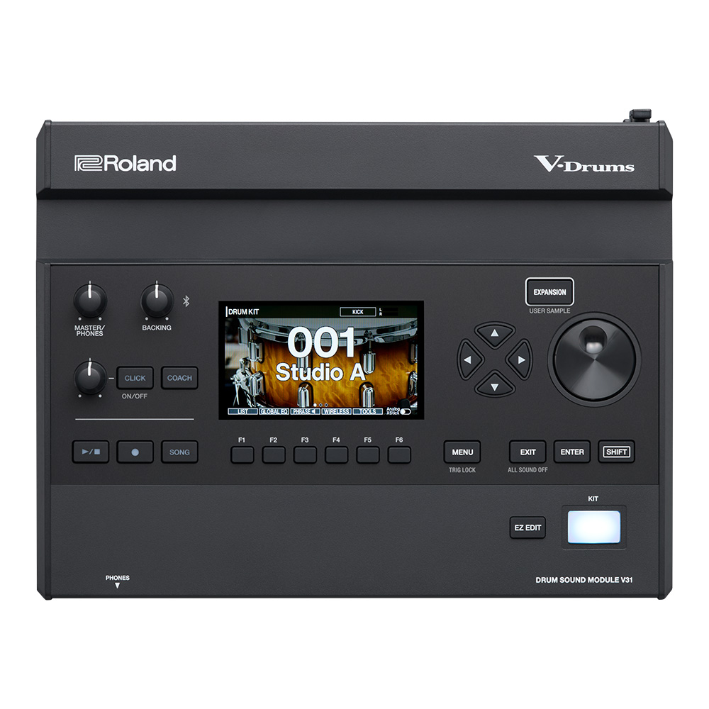 超美品Roland ba-300   使用回数数回(室内) Roland PM-200 180-watt 1x12