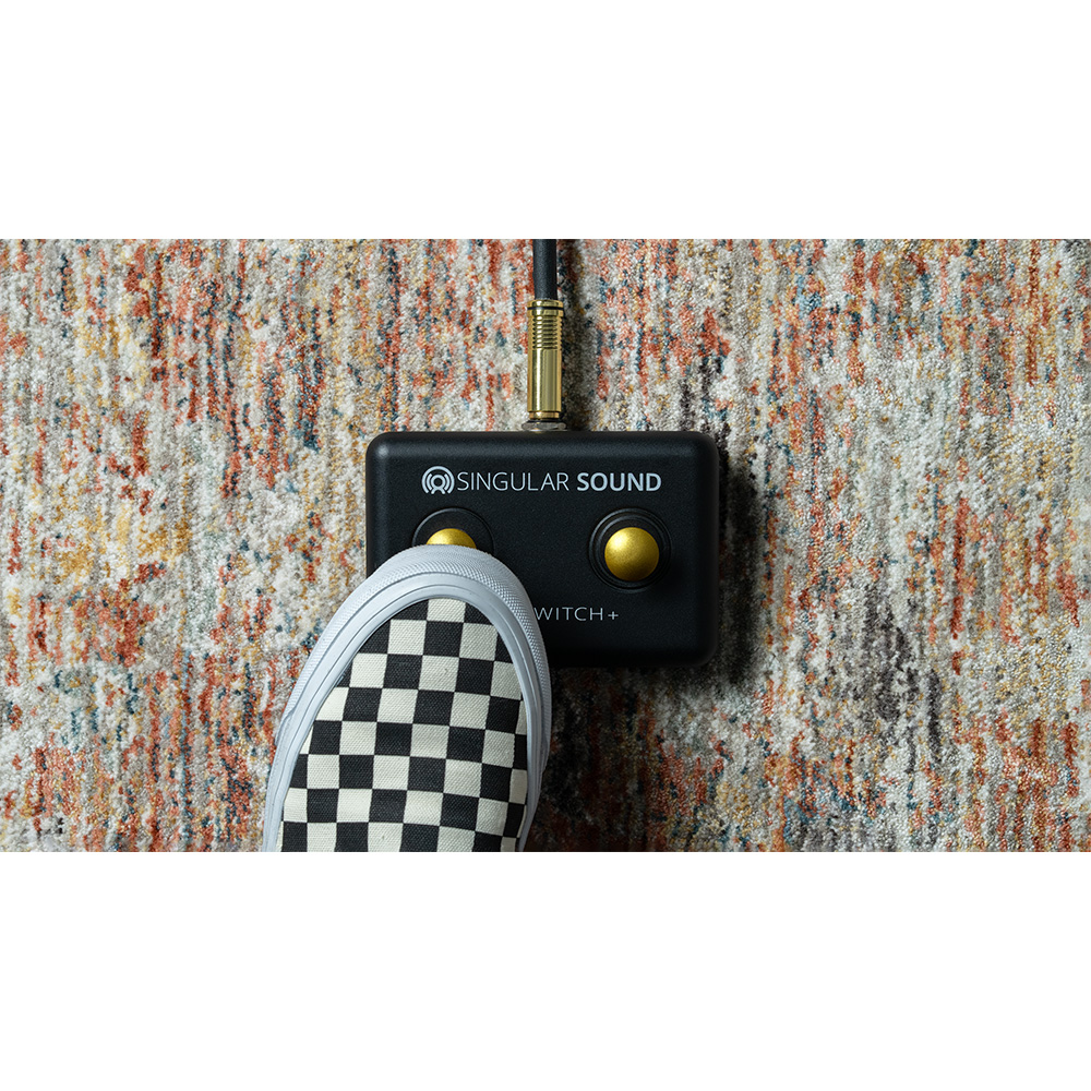 SINGULAR SOUND Footswitch+ B&G｜ミュージックランドKEY