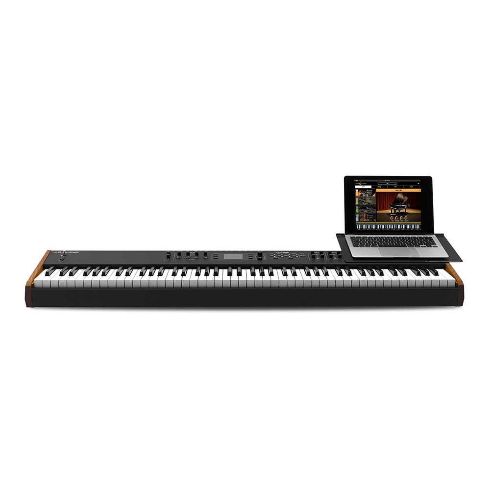 Studiologic Computer Plate NXP｜ミュージックランドKEY