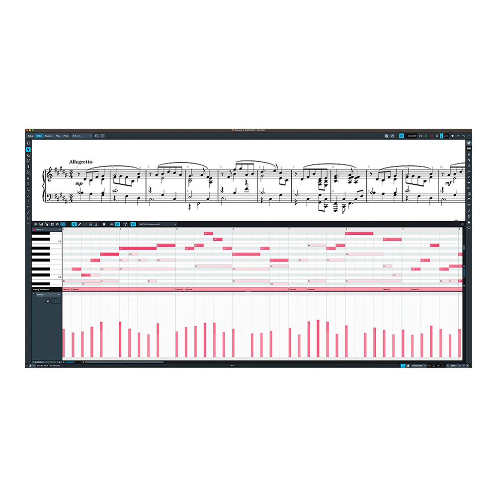 Steinberg Dorico Elements 5 通常版 (DORICO EL /R)｜ミュージック