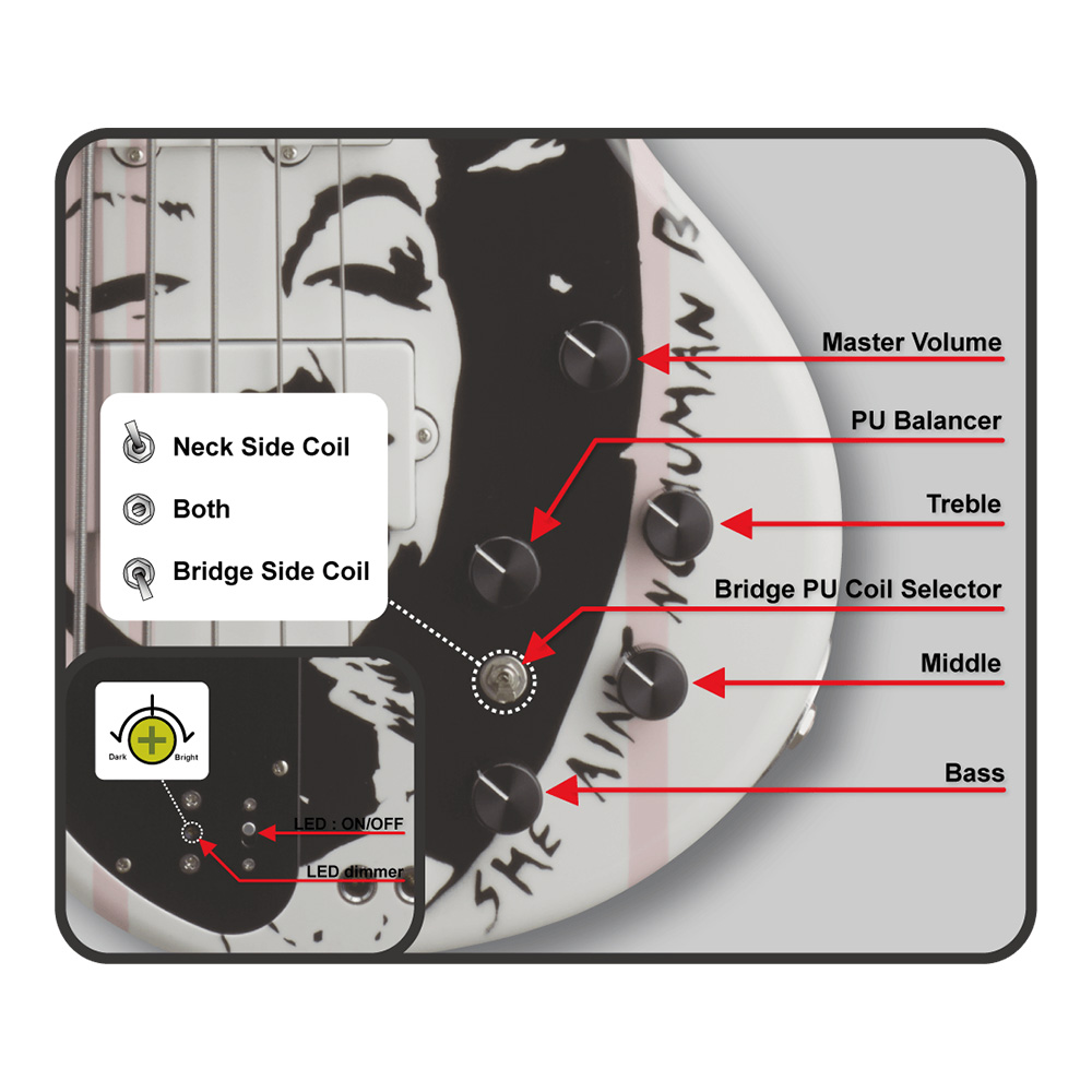 072BGLTSR-G2RearTurnSignalKit-