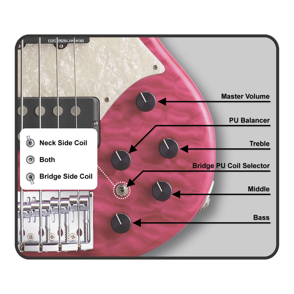 STELLA GEAR Bardic / See Thru Pink [tetsuya Signature Model]｜ミュージックランドKEY