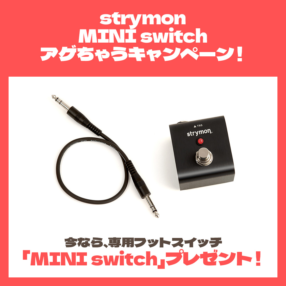 strymon EC-1 [single hand dTape echo]｜ミュージックランドKEY