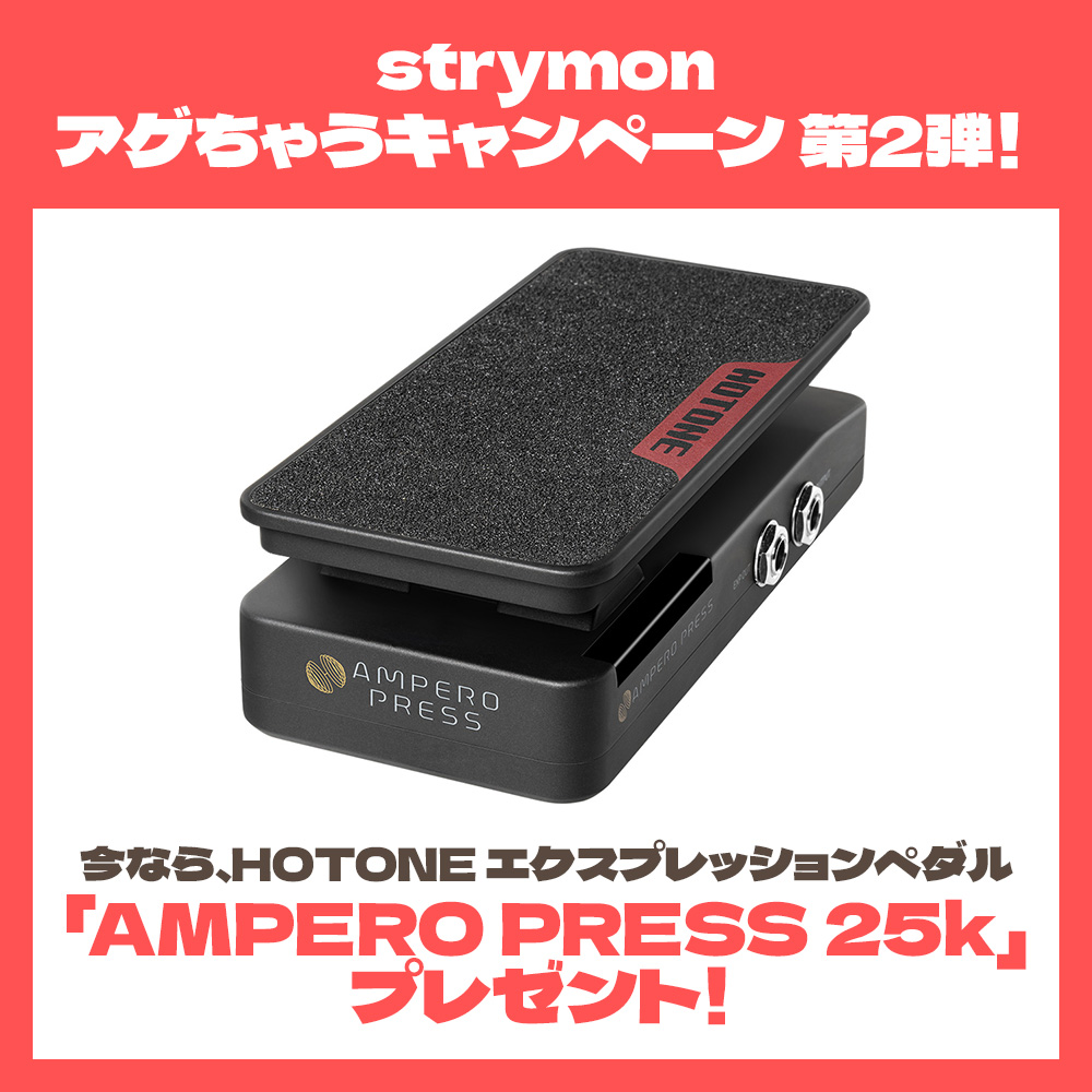 strymon TIMELINE [Delay unit with MIDI Preset]｜ミュージック