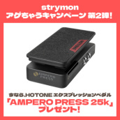 Strymon TIMELINE ディレイ・エフェクター MIDI対応 strymon TIMELINE ディレイ - ストライモン エフェクター
